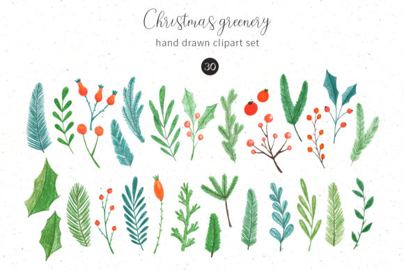 Christmas Greenery Illustrations for Branding