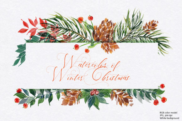 Watercolor of Winter Christmas: Illustrations Review